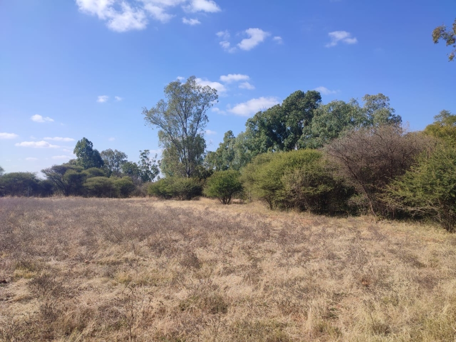 4 Bedroom Property for Sale in Zeerust North West